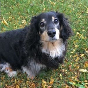 Meet your Posher, Jen